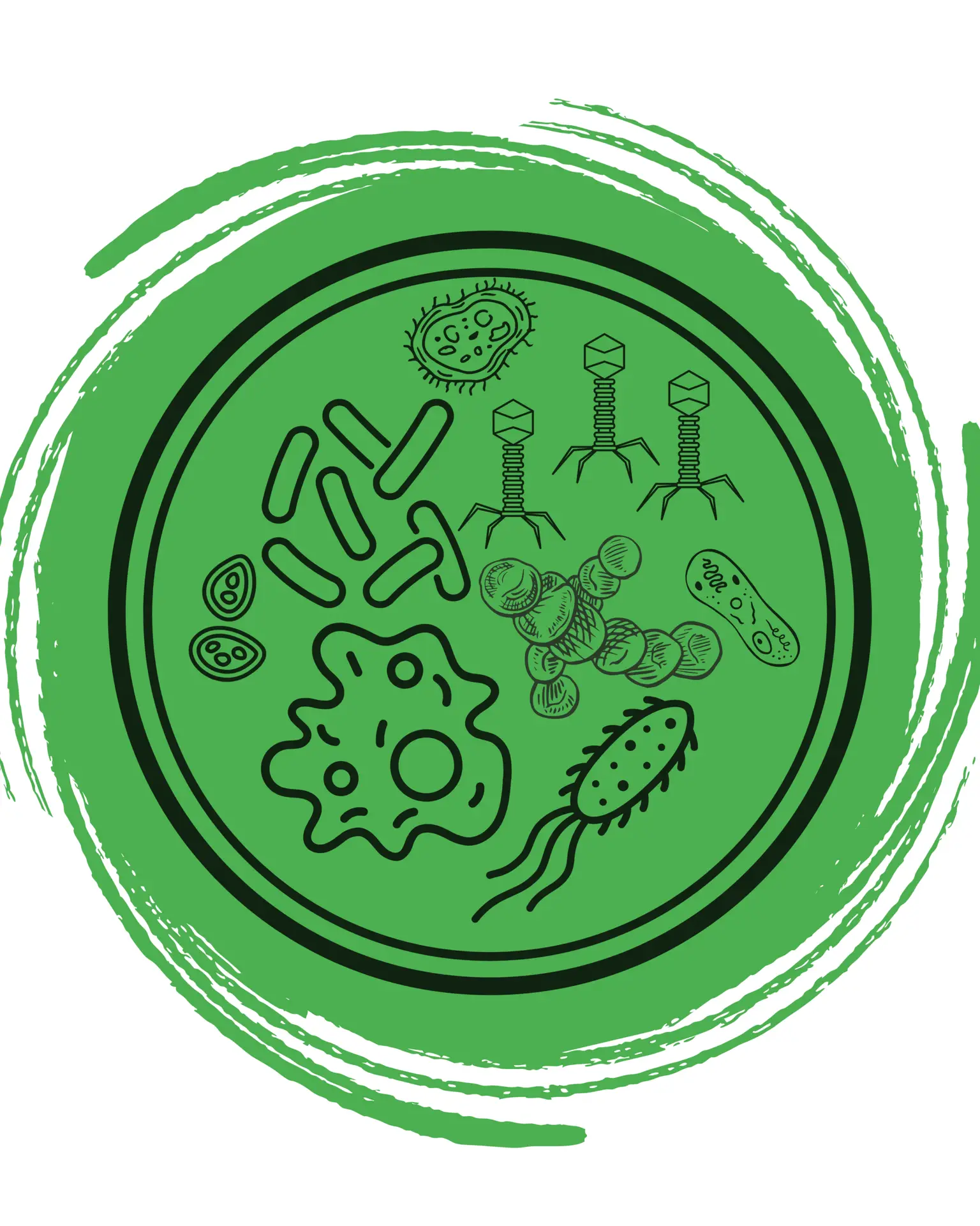 Microorganisms Study - Microbiology - Bioelev
